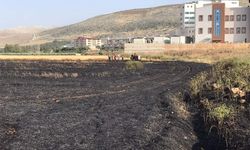 Hatay'da iki ayrı yangında 77 dönüm ekili buğday tarlası zarar gördü