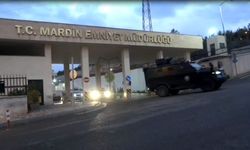Mardin'de silah kaçakçılığı operasyonunda 1 tutuklama
