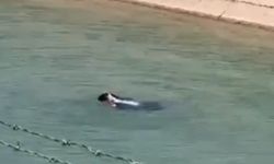 Şanlıurfa'da sulama kanalında sürüklenen çocuk kurtarıldı