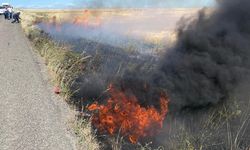 Şırnak'ta, 60 dönüm buğday ekili alan yandı
