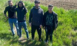 Edirne'de dört göçmen yakalandı!