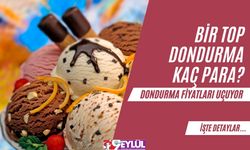 Dondurma Fiyatları Uçuyor! Bir Top Dondurma Kaç Para?