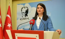 CHP'li Gökçen'den 'Yeni Anayasa' tepkisi!