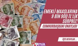 Emekli Maaşlarına 9 Bin 900 TL'lik Sürpriz! Cumhurbaşkanı Onayladı