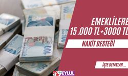 Emeklilere Geri Ödemesiz 15.000 TL+3000 TL Nakit Desteği