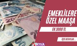 Emeklilere Özel Maaşa Ek 3000 TL!