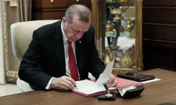 Erdoğan imzaladı: Vali yardımcısı ve kaymakam atamaları Resmi Gazete'de