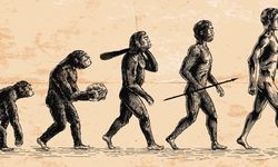 X Kuşağında Evrim Algısı: Bilim Okuryazarlığı Ne Kadar Önemli?