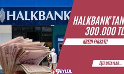 Halkbank'tan 300.000 TL Kredi Fırsatı!