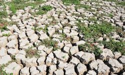 Marmara Gölü için can suyu olacak: O proje 9 Mayıs'ta ihaleye çıkıyor