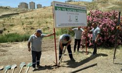 Peyzaj mimarlarından Karşıyaka’ya hatıra ormanı