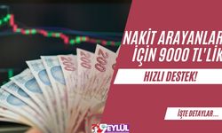 Nakit Arayanlar İçin 9000 TL'lik Hızlı Destek!