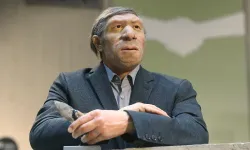 Neandertalleri Hayata Döndürmek Mümkün mü? Neandertalleri Nasıl Diriltebiliriz? Neandertallerin Evrimsel Tarihi