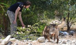 7 aydır kayıp Nihal 100 polis ve kadavra köpeğiyle arandı!