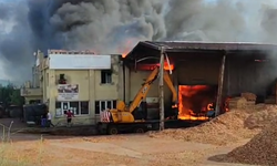 Torbalı’da Palet Fabrikasında Yangın Çıktı
