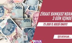 Ziraat Bankası'ndan 3 gün içinde 75.000 TL kredi onayı!