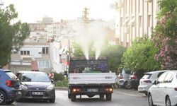 Karabağlar’da mahalle mahalle ilaçlama yapıldı
