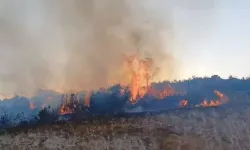 Gaziantep’te meşelik yangını!