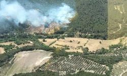Bergama'daki orman yangını 20 saat sonra kontrol altına alındı