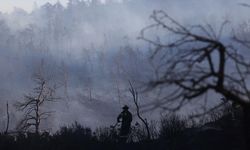 Atina'nın yakınlarındaki orman yangınları kontrol altında