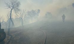 Makilik ve zeytinlik alanda çıkan yangın söndürüldü