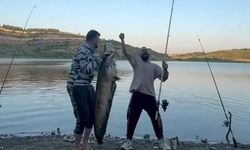 24 kiloluk yayın balığı yakalamışlardı! Cezaları belli oldu