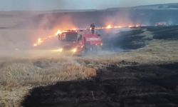 Anız yangını, 1500 dönümlük alana zarar verdi