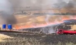 Ankara'da 100 dönümlük tarla küle döndü!