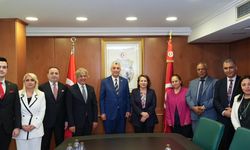 Bakan Bolat, Tunus Enerji Sanayi ve Madencilik Bakanı Chiboub ile görüştü