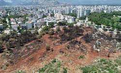 Başkan Kotan'dan 'yanan alan yeniden ağaçlandırılsın' girişimi