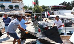 Bodrum'daki deniz dibi temizliğinde 800 kilogram atık çıkarıldı
