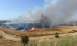 Edirne’de 110 dekar buğday ekili tarla yandı