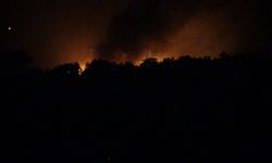 İzmir Dikili'de otluk alanda yangın; ev ve balık çiftçiliği zarar gördü