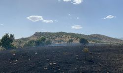 Örtü yangınında 10 hektar alan zarar gördü