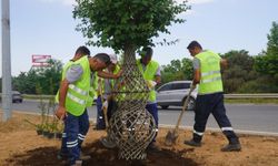 Güzelbahçe’nin çehresi değişiyor