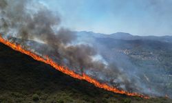Bakan Yumaklı'ya İzmir'deki yangınlar önergesi