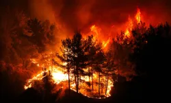 CHP'den orman yangınlarına karşı işbirliği çağrısı!