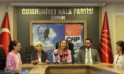 CHP'li Nazlıaka: Partimizdeki kadın temsil oranı yüzde 37'ye ulaştı
