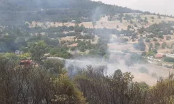 Denizli'de korkutan orman yangını!