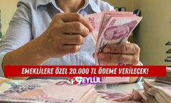 Emeklilere Özel 20.000 TL Ödeme Verilecek!