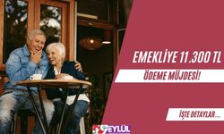 Emekliye 11.300 TL Ödeme Müjdesi!