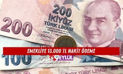 Emekliye 13.000 TL Nakit Ödeme! İşte Detaylar