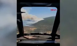 Urla'da orman yangını çıktı