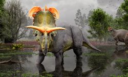 Yeni Dinozor Türü Keşfedildi: Fil Büyüklüğünde ve Keskin Boynuzlu