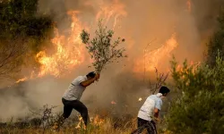 Türkiye'nin Ormanları Alevlere Teslim: Ciğerimiz Yanıyor