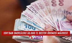 SGK'dan Emeklilere 30.000 TL Destek Ödemesi Müjdesi!