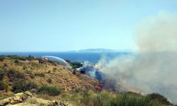 Şarköy’de yangın; 35 dönüm zeytinlik ile 600 dönüm tarım alanı zarar gördü