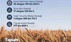 119 milyon TL tarımsal destekleme ödemesi çiftçilerin hesabına yatırıldı