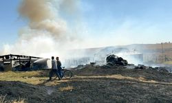 Çiftlikteki yangında 500 dönüm zarar gördü