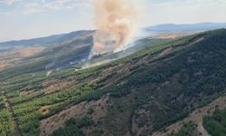 Çivril'de çıkan orman yangınına müdahale ediliyor